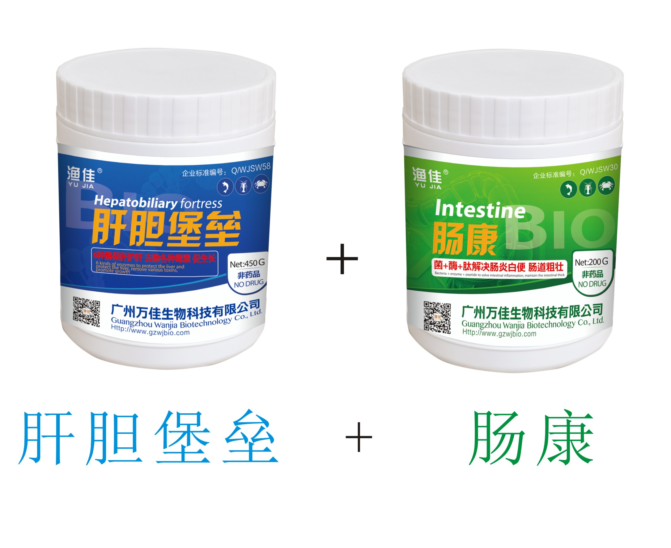 菌+酶+肽 保肝護腸！